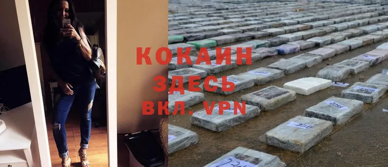 купить  сайты  Камышин  Cocaine Колумбийский 